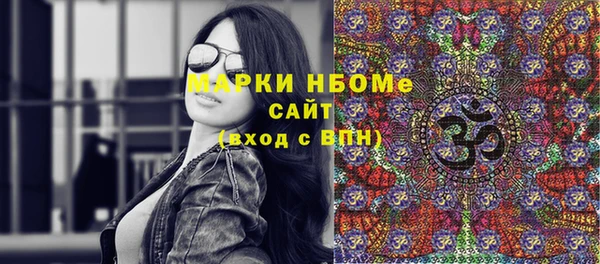 индика Алексин