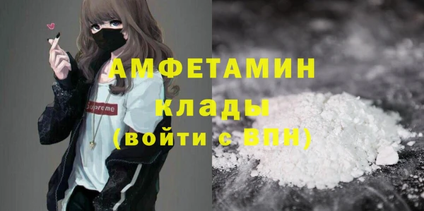 индика Алексин