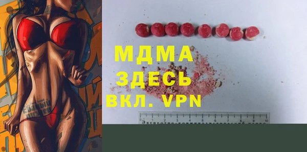 индика Алексин