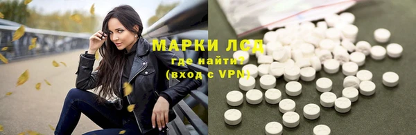 индика Алексин