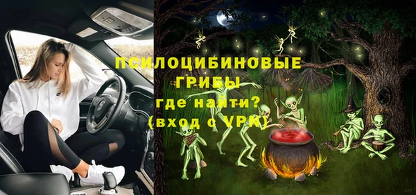 индика Алексин