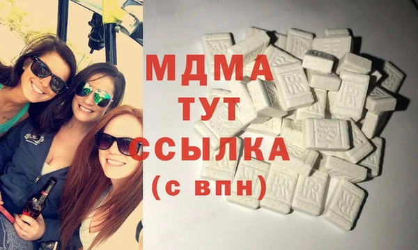 индика Алексин