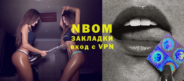 индика Алексин