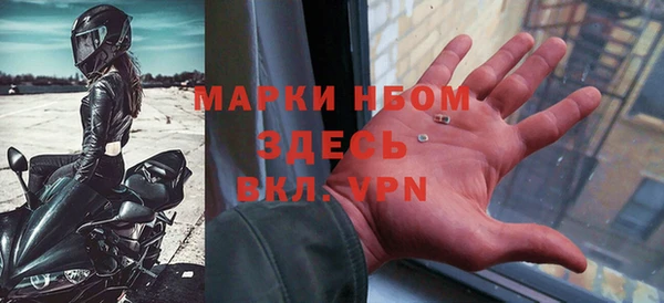 индика Алексин