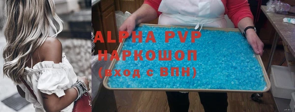индика Алексин