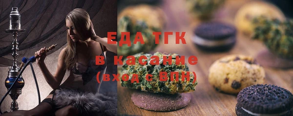 индика Алексин